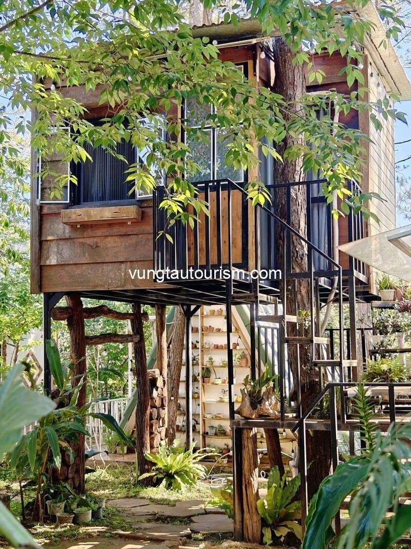 Nắng Homestay Măng Đen: viên ngọc ẩn mình trong rừng thông