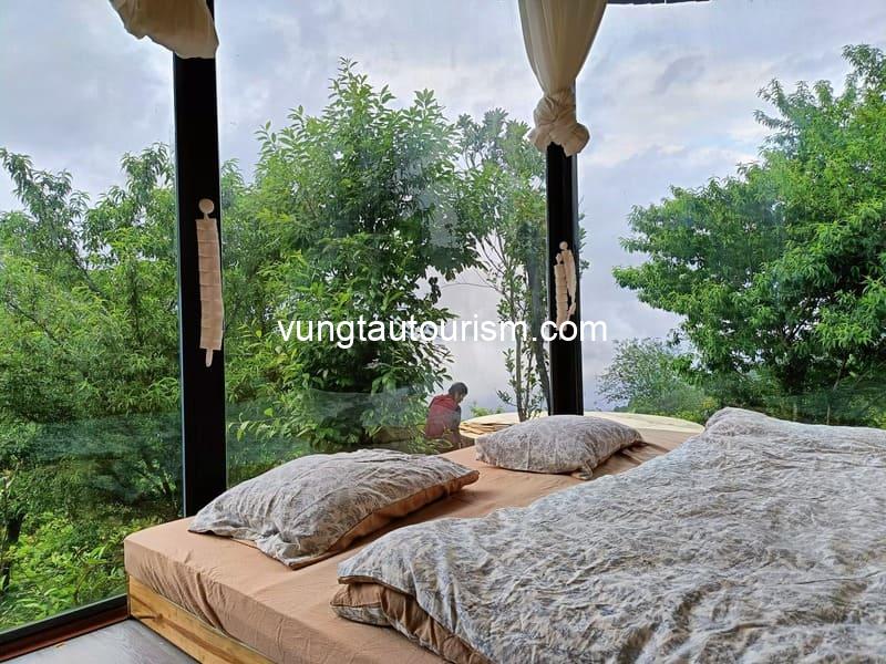 Tà Xùa Clouds Homestay: Thiên đường nghỉ dưỡng giữa biển mây