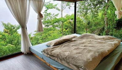 Tà Xùa Clouds Homestay: Thiên đường nghỉ dưỡng giữa biển mây