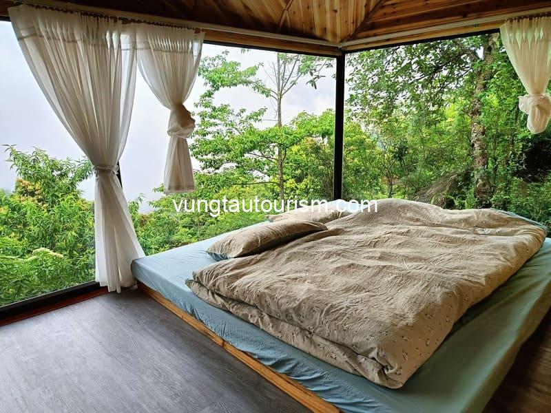 Tà Xùa Clouds Homestay: Thiên đường nghỉ dưỡng giữa biển mây