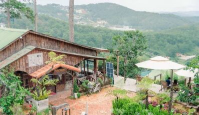 Tổ Chim Homestay Đà Lạt: Căn nhà gỗ giữa lưng chừng đồi
