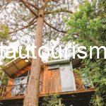 Đông Homestay Đà Lạt: Khu nghỉ dưỡng xanh mát rộng 5.000m²