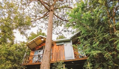 Đông Homestay Đà Lạt: Khu nghỉ dưỡng xanh mát rộng 5.000m²