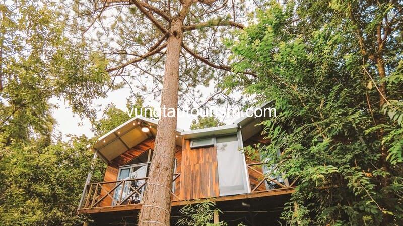 Đông Homestay Đà Lạt: Khu nghỉ dưỡng xanh mát rộng 5.000m²