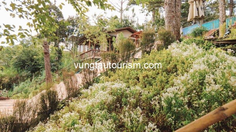 Đông Homestay Đà Lạt: Khu nghỉ dưỡng xanh mát rộng 5.000m²