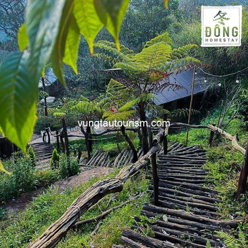 Đông Homestay Đà Lạt: Khu nghỉ dưỡng xanh mát rộng 5.000m²