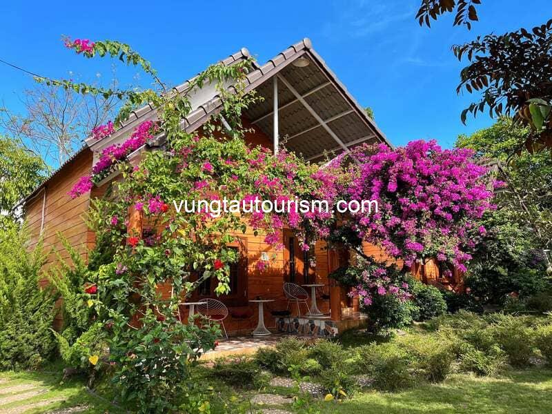 SORA Homestay Pleiku: Khu nghỉ xanh mát có 1000 góc sống ảo